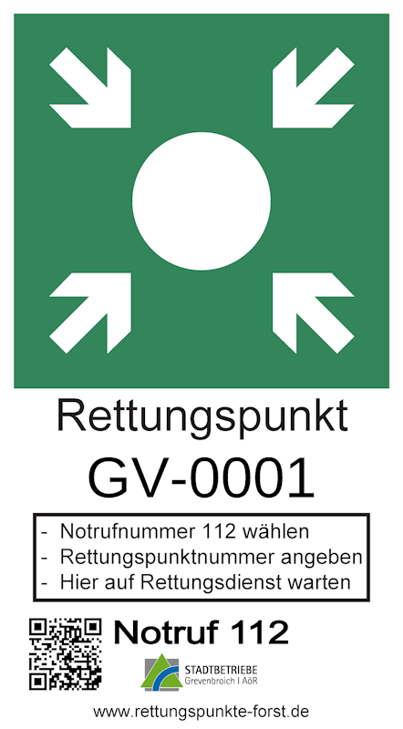 Beispielbild Schild Rettungspunkt: Rechteck mit grünem Hintergrund ein weißer Punkt, auf den vier Pfeile aus allen Ecken zeigen.